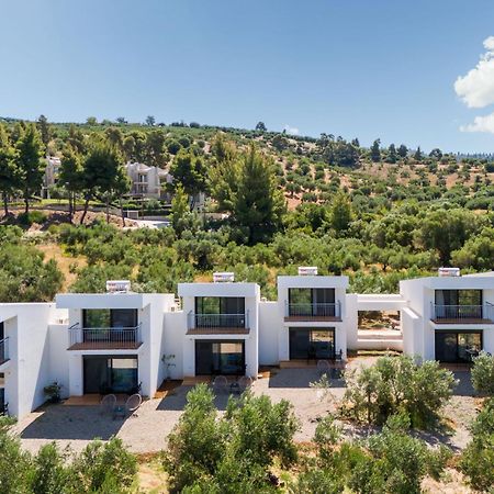 Olea Villas By Halu!, Cozy Villa In Nikiti Lagomandra Bagian luar foto