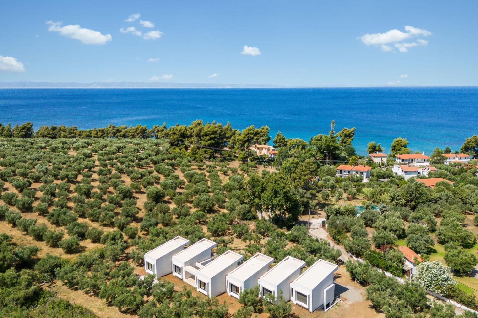 Olea Villas By Halu!, Cozy Villa In Nikiti Lagomandra Bagian luar foto
