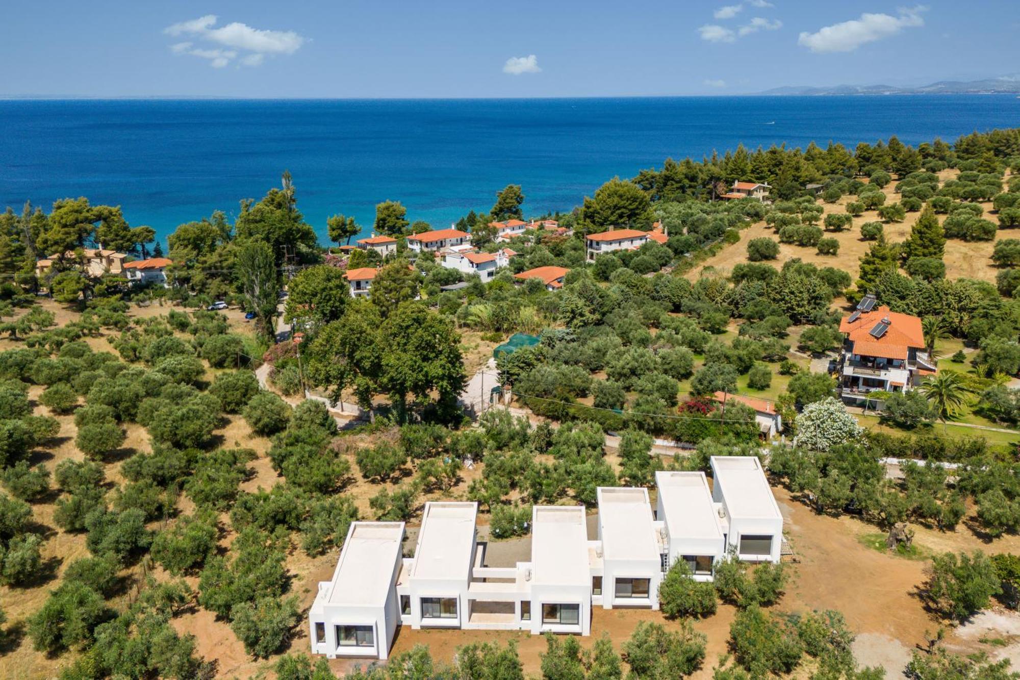 Olea Villas By Halu!, Cozy Villa In Nikiti Lagomandra Bagian luar foto