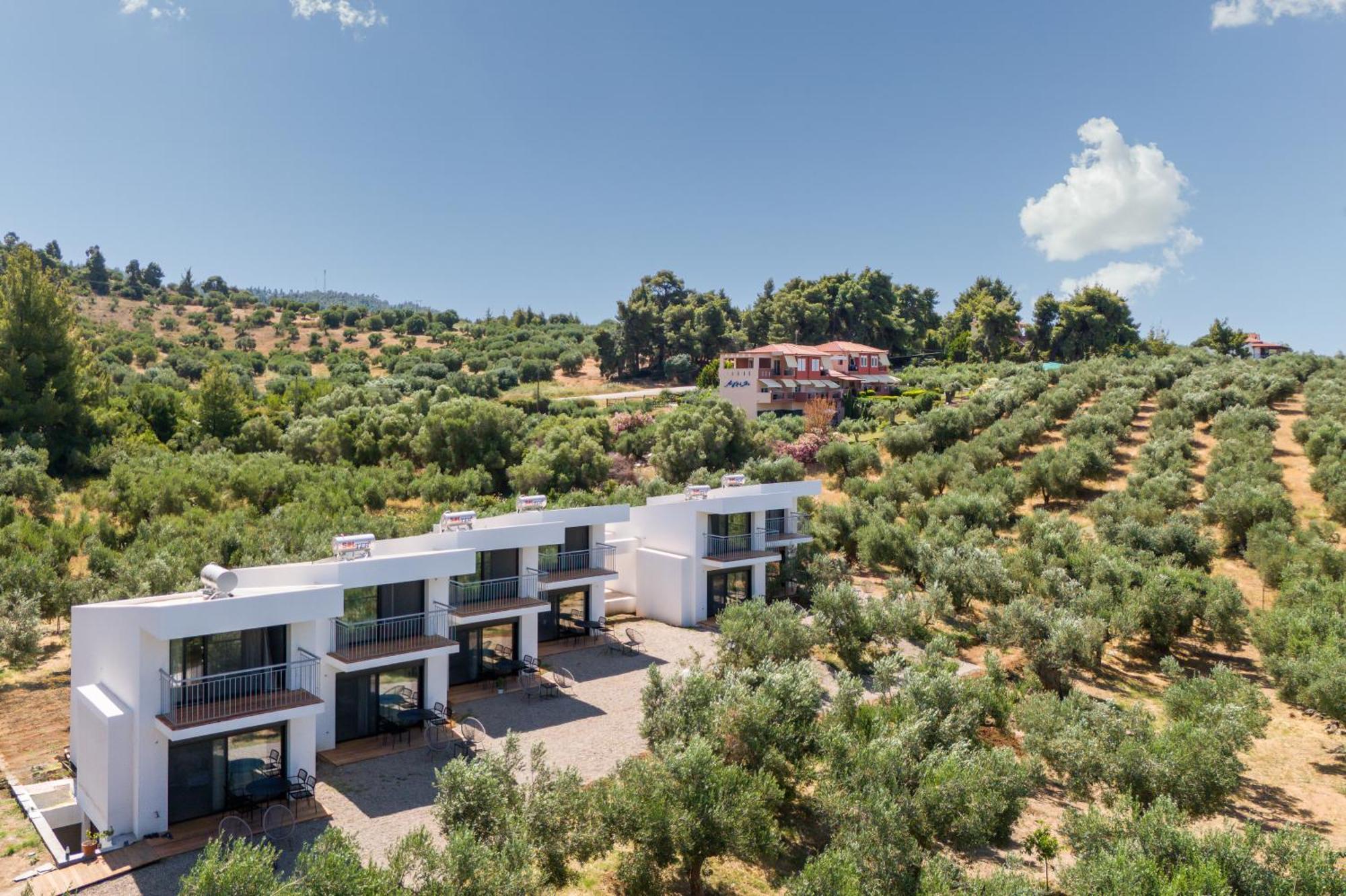 Olea Villas By Halu!, Cozy Villa In Nikiti Lagomandra Bagian luar foto