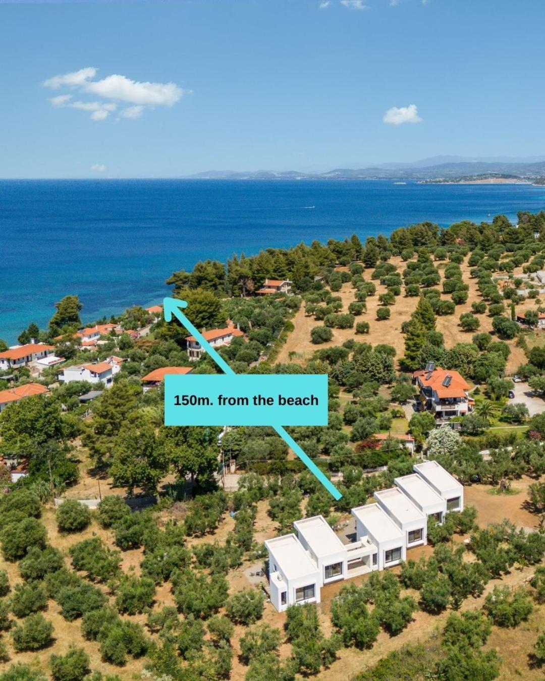 Olea Villas By Halu!, Cozy Villa In Nikiti Lagomandra Bagian luar foto